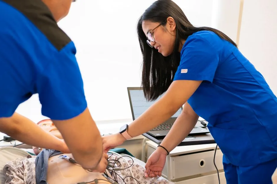 Nursing Program Approval vs Accreditation: Check Both